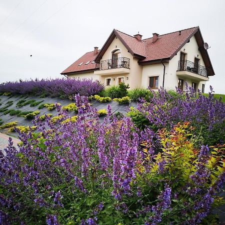 Apartamenty, Zielone Wzgórze Wiktora w Mikołajkach Mikołajki Zewnętrze zdjęcie